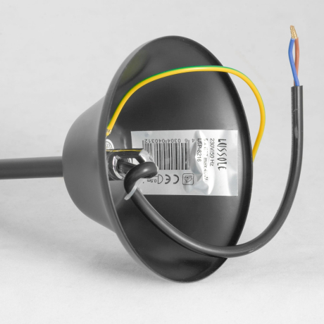 Подвесная люстра Lussole LATTICE GRLSP-8216 