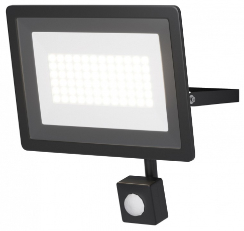 Настенно-потолочный прожектор Maytoni Outdoor Flood FL001-L50B6KSR