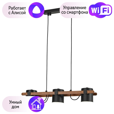 Подвесная люстра F-Promo Scandy с поддержкой Алиса 3004-3P-A 