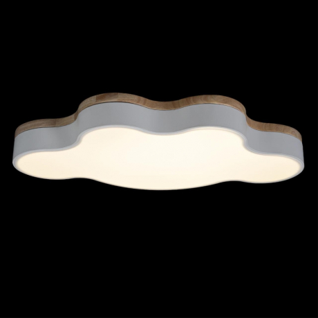 Потолочный светодиодный светильник Axel Loft It 10005/36 White 