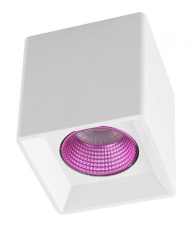 Накладной светильник Denkirs DK3080-WH+PI 