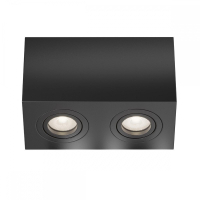 Накладной светильник Maytoni Technicall Atom C017CL-02B