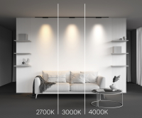 Трековый светильник Technical TR193-1-10W2.7K-M-B Points