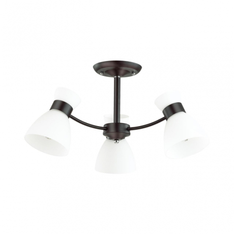 Люстра потолочная Lumion Wilma 4534/3C 