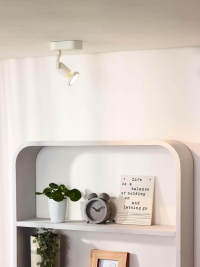 11903/05/31 Спот Lucide JASTER