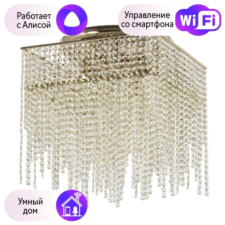 Потолочный светильник Dio DArte Elite  с поддержкой Алиса Como E 1.2.40.199 G-A 