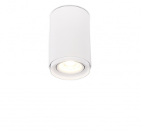 Накладной светильник SIMPLE STORY 2065 2065-1CLW