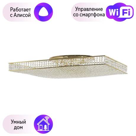 Потолочная люстра Dio DArte Elite с поддержкой Алиса Como E 1.2.80.100 G-A 