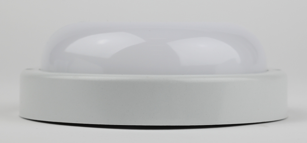 Светильник ЖКХ светодиодный Эра SPB-202-0-40K-008 (Б0047617)