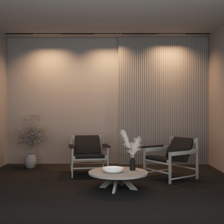 Трековый светильник Technical TR174-1-24WTW-M-B Points 