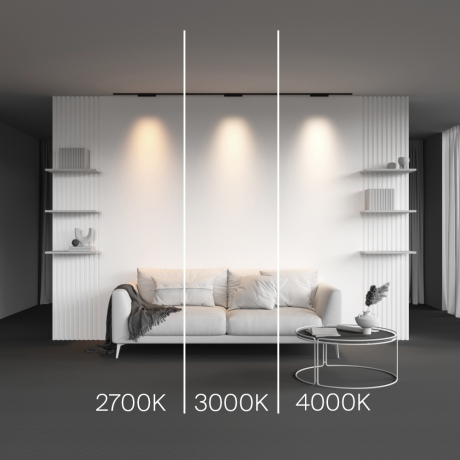 Трековый светильник Technical TR193-1-10W4K-M-B Points 