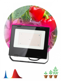 Нарушена упаковка!  <228600> Прожектор светодиодный ЭРА PRO 100W 1200K Fito-100W-RB-Led Б0046369