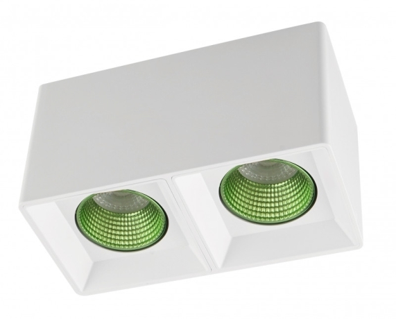 Накладной светильник Denkirs DK3085-WH+GR 