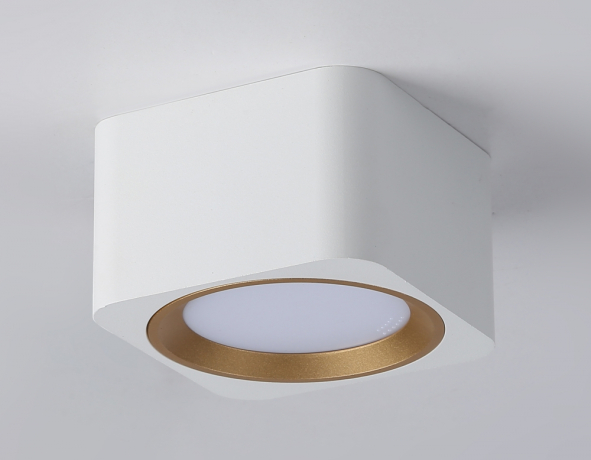 Накладной светильник Ambrella Light TN TN70831 