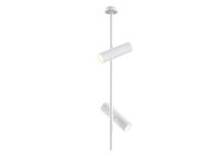 C021CL-02W Потолочный светильник Maytoni Elti