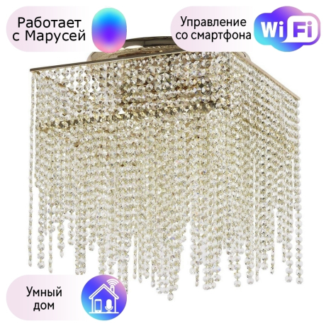 Потолочный светильник Dio DArte Elite  с поддержкой Маруся Como E 1.2.40.199 G-М 