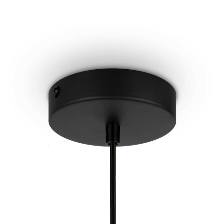 Подвесной светильник Maytoni Roots MOD193PL-01W 