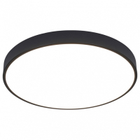 A2672PL-1BK Настенно-потолочный светодиодный светильник Arte Lamp Arena