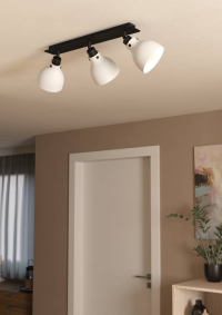 Спот Eglo Matlock 43829