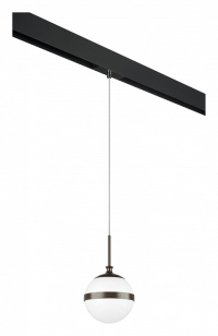 Трековый светильник Lightstar Globo (813117+595007) PRO813117