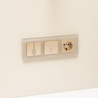 Выключатель одноклавишный с подсветкой (шампань рифленый) Werkel W1110110