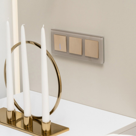 Выключатель одноклавишный с подсветкой без рамки Werkel шампань рифленый W1110110