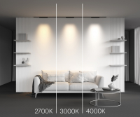 Трековый светильник Technical TR193-1-15W4K-M-B Points