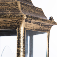 Уличный светильник Arte Lamp Pegasus A3151FN-1BN