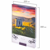 Нарушена упаковка! <319647> Тетрадь А4, 80 л., BRAUBERG, гребень, клетка, обложка твердая, "Nature", 404054 (404054)