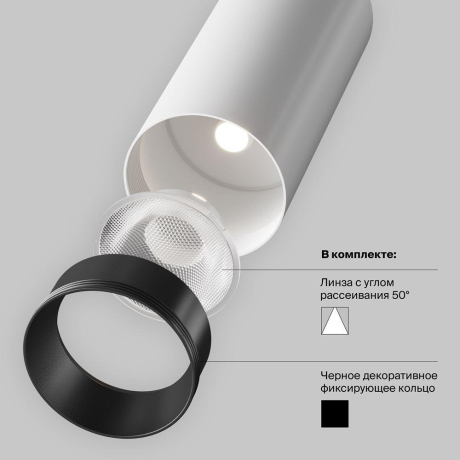 Светильник на штанге Maytoni Technical Focus LED TR032-4-20W3K-S-DS-W 