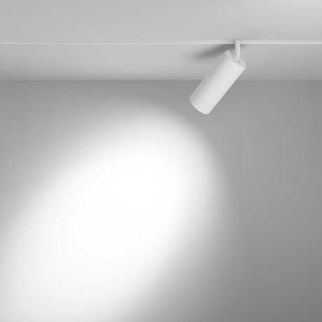 Светильник на штанге Maytoni Technical Focus LED TR032-4-20W3K-S-DS-W 