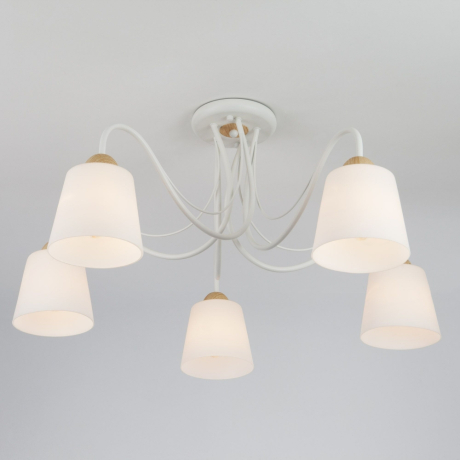 Потолочная люстра Eurosvet Betty 70062/5 белый 