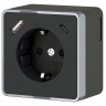 Розетка с заземлением и со шторками и USB Werkel Gallant (черный хром) W5071735 
