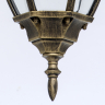 Уличный подвесной светильник с лампочкой DeMarkt 804010401+Lamps
