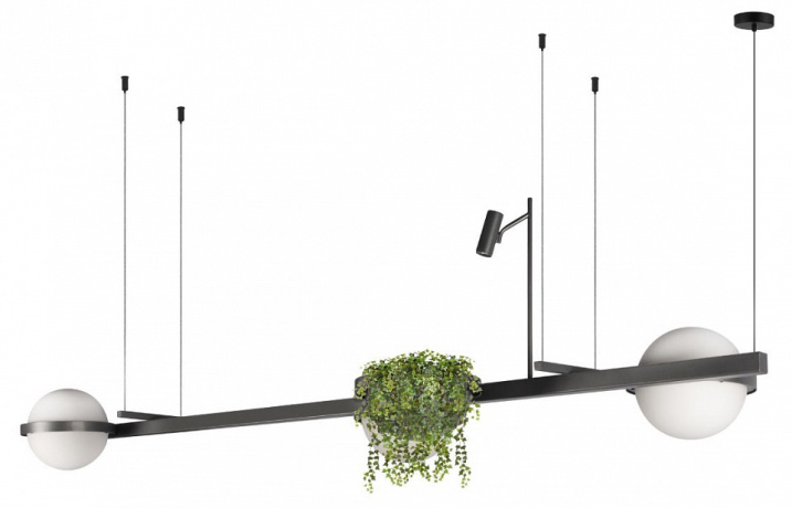 Подвесной светильник Loft it Jardin 10121/C Dark grey 