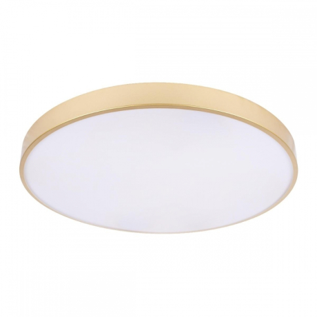 Потолочный светодиодный светильник Loft IT Flims 10228/B 