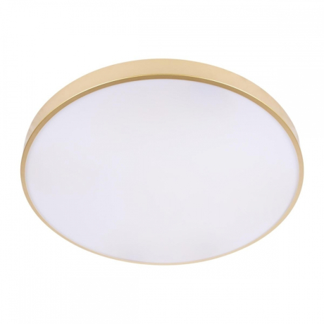 Потолочный светодиодный светильник Loft IT Flims 10228/B 