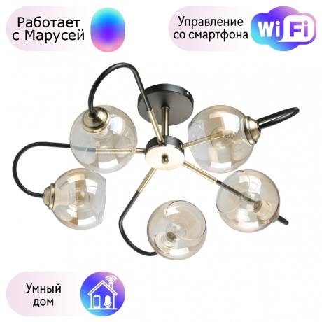 Потолочная люстра Вита De Markt с поддержкой Маруся 220013205-М 