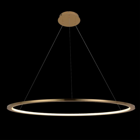 Светильник подвесной светодиодный LOFTIT Ring 10014L