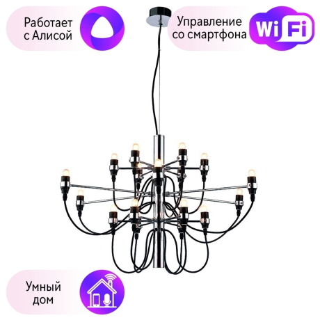 Подвесная люстра DIVINARE MOLTO с поддержкой Алиса 8030/02 LM-18-A 