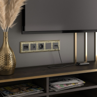 ТВ-розетка проходная (черный матовый) W1184008 Werkel (a051625)