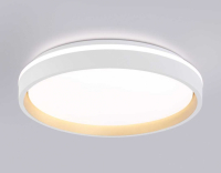 Потолочный светодиодный светильник Ambrella light Orbital Dance FZ607