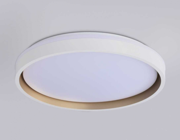 Потолочный светодиодный светильник Ambrella light Orbital Dance FZ607 