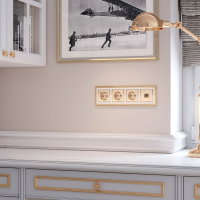 Розетка с заземлением и шторками (шампань рифленый) Werkel W1171110