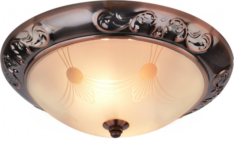Потолочный светильник Arte Lamp 28 A3014PL-2AC 