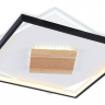 Накладной светильник Ambrella Light FL FL4791