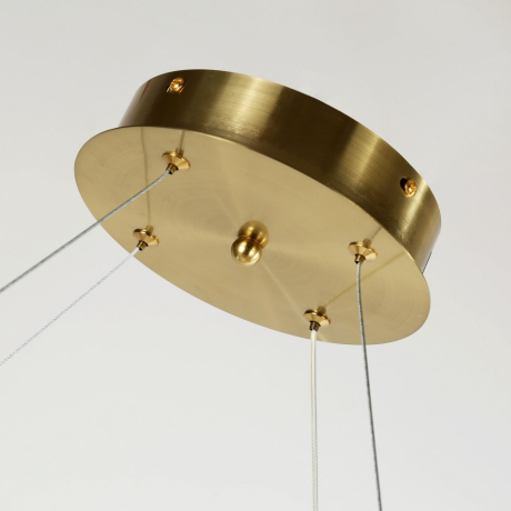 Подвесная люстра Favourite Gubbare с поддержкой Алиса 4014-10P-A 