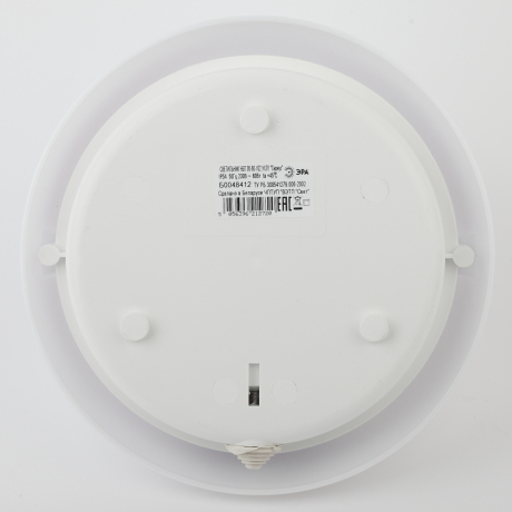 Настенный ЖКХ светильник с фотошумовым датчиком Эра НБП 06-60-102 (Б0048412)