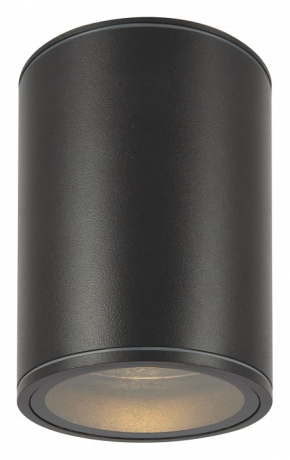 Накладной светильник Maytoni Outdoor Bar O306CL-L7GF