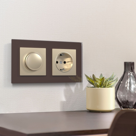 Розетка с заземлением и со шторками, без рамки Werkel шампань W1171111